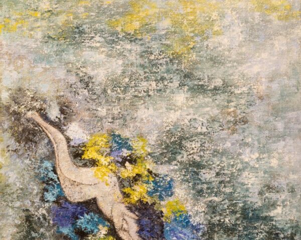 Sotto le madrepore